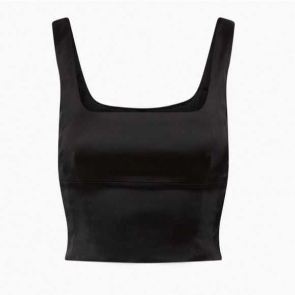 ARITZIA WILFRED Shine Bustier - Picture 12 of 16